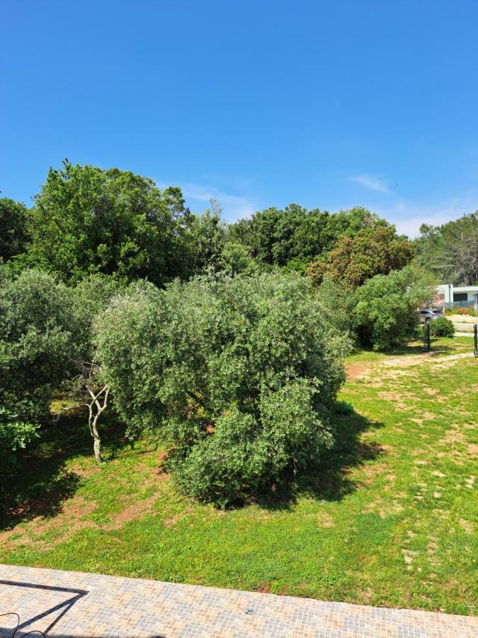 Villa Eucaliptus Istrien Rovinj Ngoại thất bức ảnh